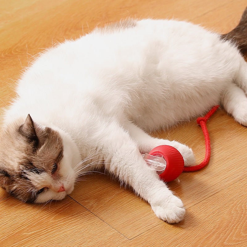 🎊Buy 2 Get 20% OFF🐱🐶Smart Automatic Rolling Pet Ball