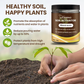 🔥Limited Sale - BUY 4 GET 6 FREE🔥Soil Improvement Loosening Agent
