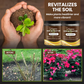 🔥Limited Sale - BUY 4 GET 6 FREE🔥Soil Improvement Loosening Agent