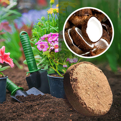 Organic Coconut Coir for Plants（50% OFF）