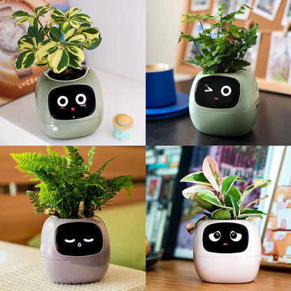 Fun Smart Flowerpot with Multiple Expressions（50% OFF）