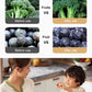 🔥Time-Limited Specail💦Intelligent Fruit and Vegetable Purifier