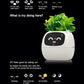 Fun Smart Flowerpot with Multiple Expressions（50% OFF）