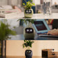 Fun Smart Flowerpot with Multiple Expressions（50% OFF）