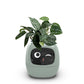 Fun Smart Flowerpot with Multiple Expressions（50% OFF）