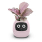 Fun Smart Flowerpot with Multiple Expressions（50% OFF）