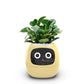 Fun Smart Flowerpot with Multiple Expressions（50% OFF）