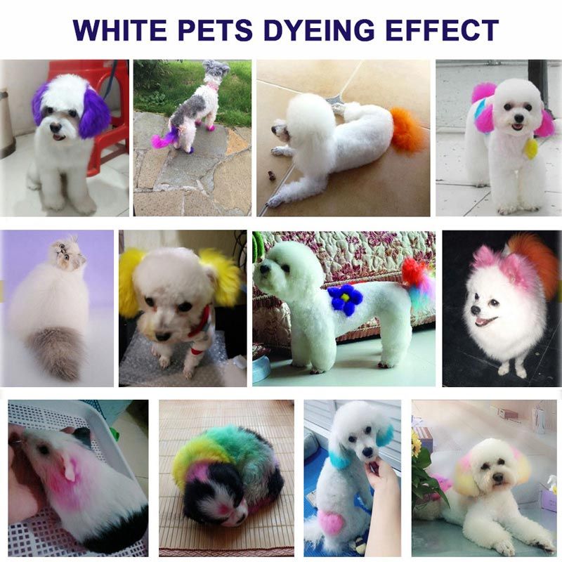 80ML Safe and Healthy Pet Hair Dye