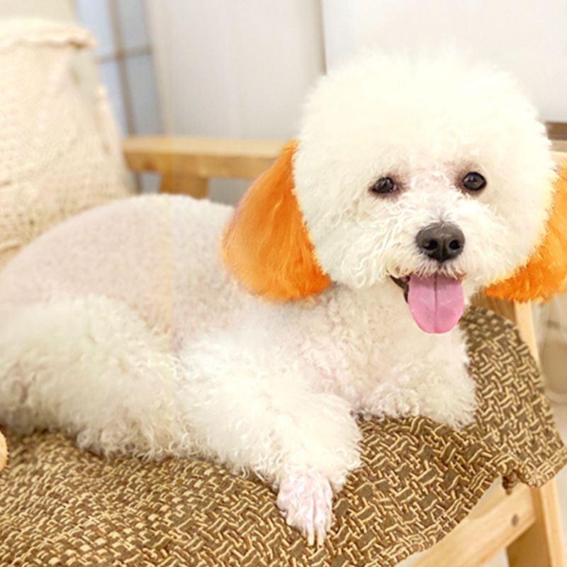 80ML Safe and Healthy Pet Hair Dye