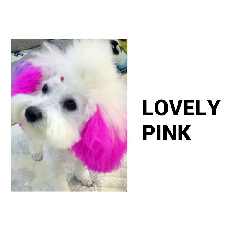 80ML Safe and Healthy Pet Hair Dye