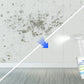 Powerful Multi-purpose Mold Removal Cleaner Spray（50% OFF）