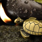 Creative Lucky Turtle Later
