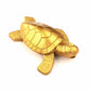 Creative Lucky Turtle Later