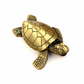 Creative Lucky Turtle Later