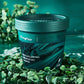Centella Asiatica Sea Salt Smalp Swam Wraph Shampooing （50% rabais）