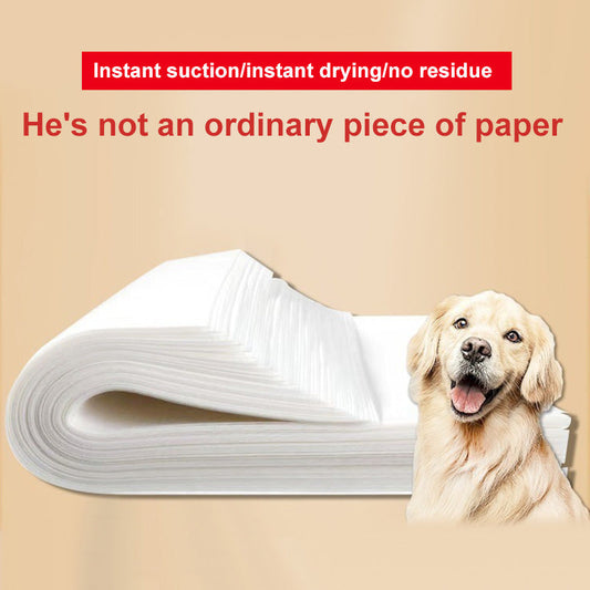 Papel absorbente de orina para cans
