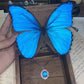 Elegant Oval Blue Pendant Necklace