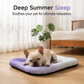 📢📢50% OFF !! ⏰Cooling Gel Mat for Pets