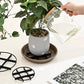 Root-Saving Pot Riser