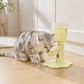 🎉 2026 Sale — Over 29,400 Sold!💧Adjustable‑Height Whisper‑Quiet Cat Water Fountain 🐱