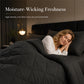 3-Piece Quilted Comforter Set with Shams