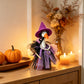 Halloween Porch Goose Witch Costume Set
