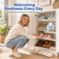 Shoe Cabinet Deodorizer Gel