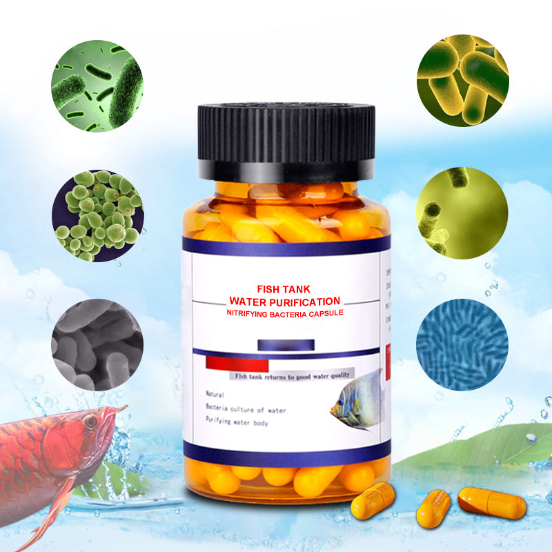 Fish Tank Water Purification Nitrifying Bacteria Capsule