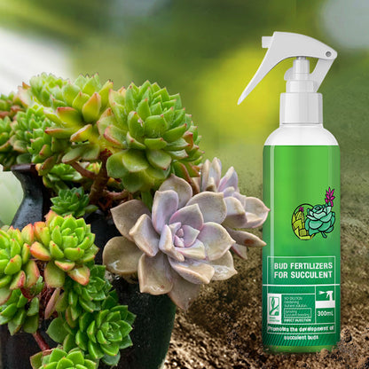 Bud Fertilizers for Succulent Plant（50% OFF）