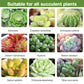 Engrais de bourgeons pour une plante succulente （50% de réduction）