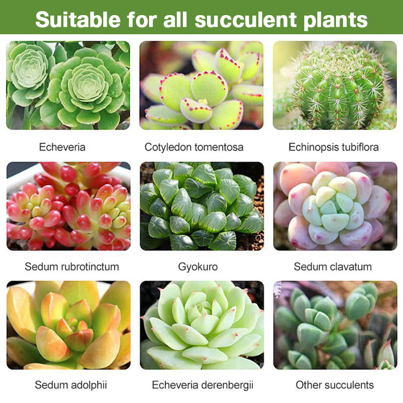 Bud Fertilizers for Succulent Plant（50% OFF）