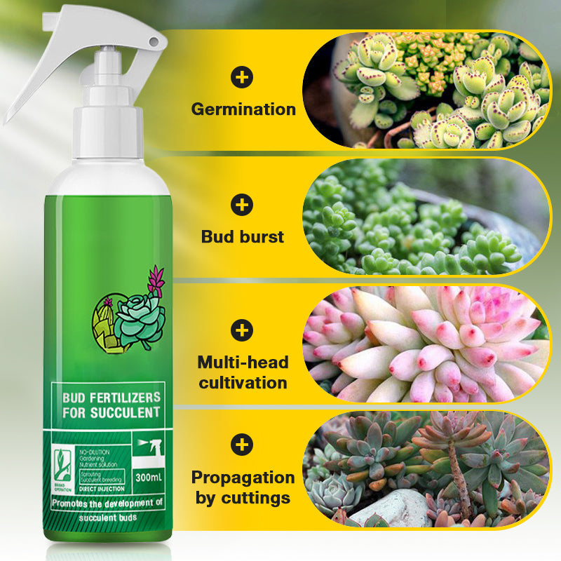 Bud Fertilizers for Succulent Plant（50% OFF）