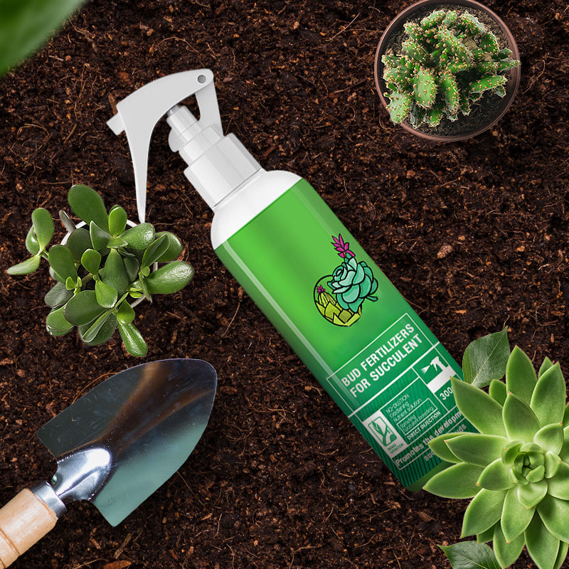 Bud Fertilizers for Succulent Plant（50% OFF）