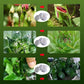 Plant Flower Insect Repellent Tablet （50% korting）