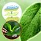 Plant Flower Insect Repellent Tablet （50% korting）