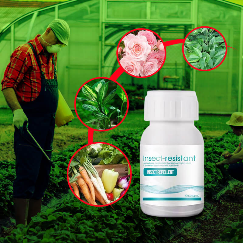 Plant Flower Insect Repellent Tablet（50% OFF）