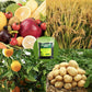 POUSBO® Bodem losmaken Essentie Bodemactivator （50% korting）