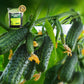 POUSBO® Bodem losmaken Essentie Bodemactivator （50% korting）
